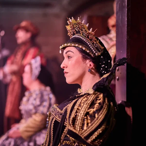 The side profile of a woman in lavish Tudor dress sitting on a chair in St Mary's Guildhall Coventry.