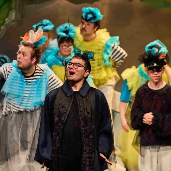 A group of actors dressed as birds with puffy colourful material. The character in the foreground is a blackbird, dressed in a black cape.