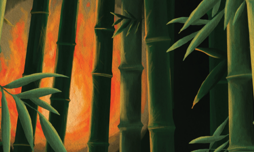 Illustration of a campire in a bamboo forest at night.
